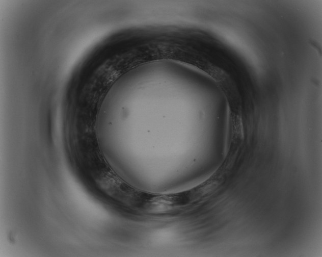 X0000103240526200809111559