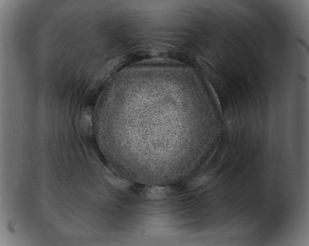 X0000103240527200809111559