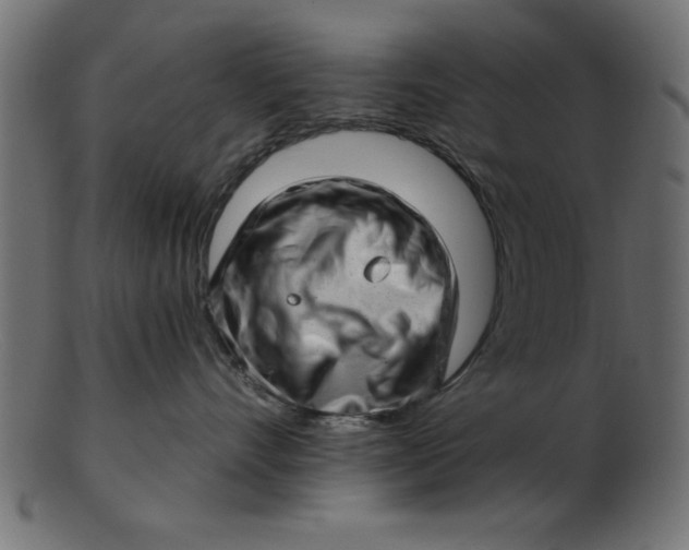 X0000103240528200809111559