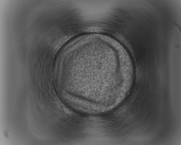 X0000103240529200809111558