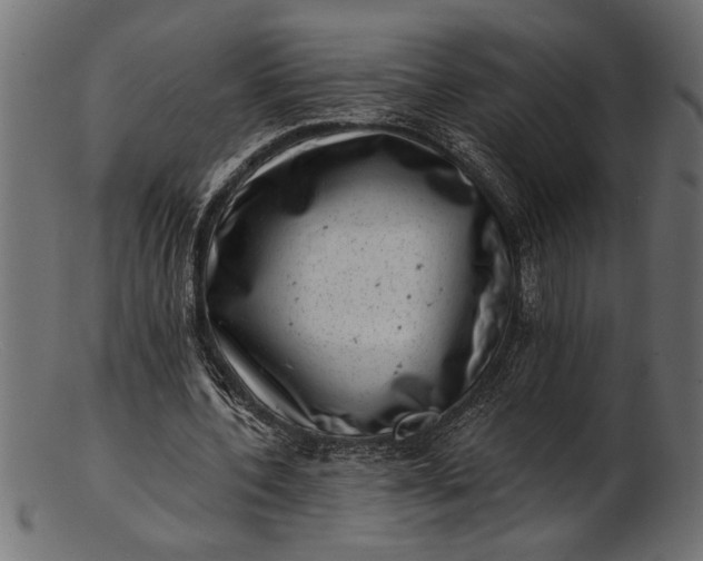 X0000103240532200809111559