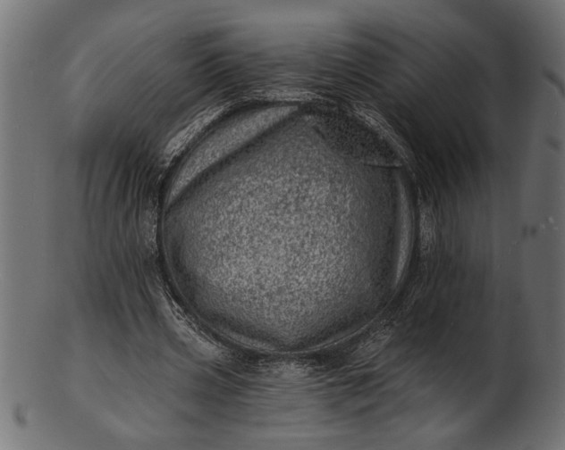 X0000103240533200809111559