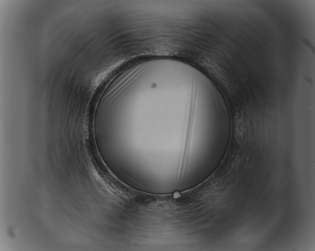 X0000103240536200809111559