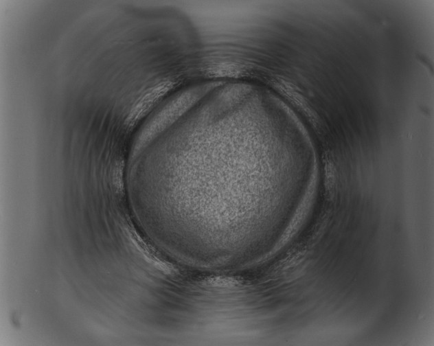 X0000103240537200809111559