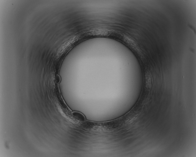 X0000103240538200809111559