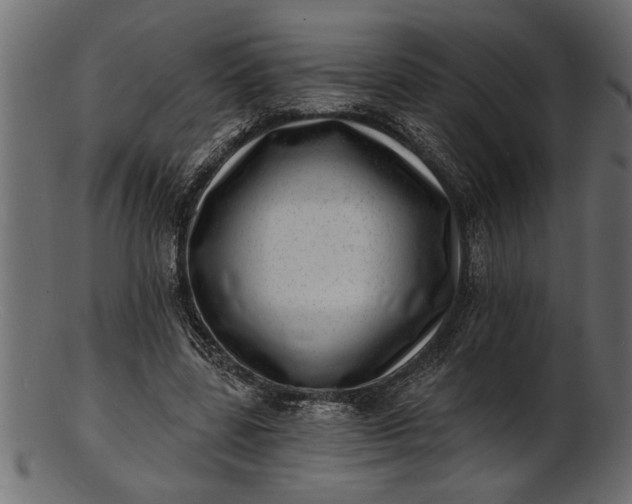 X0000103240539200809111559