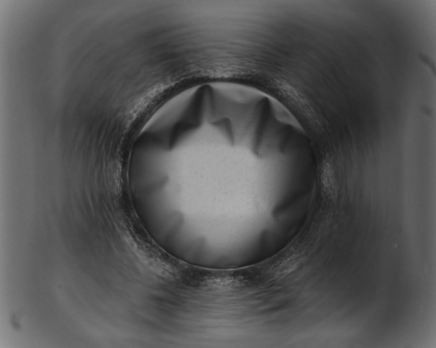 X0000103240540200809111559