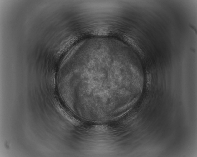 X0000103240541200809111559