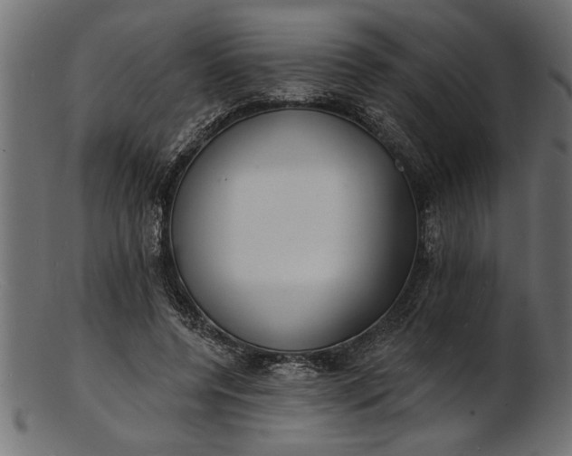 X0000103240544200809111559