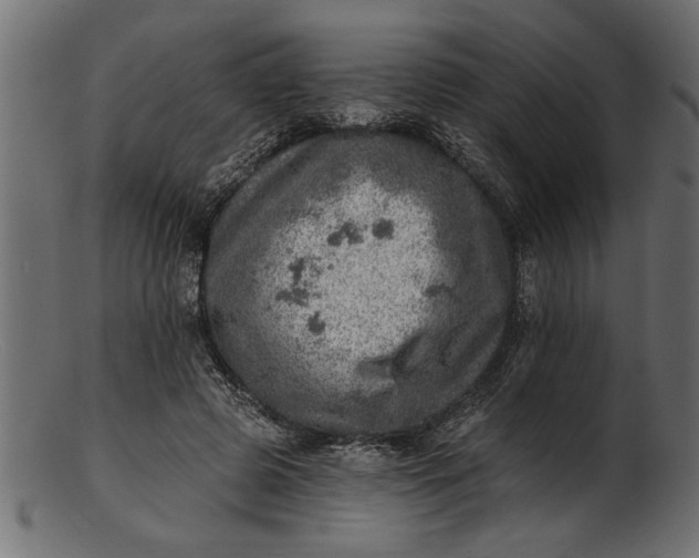 X0000103240545200809111559