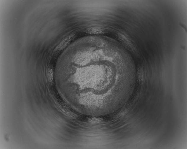 X0000103240549200809111559