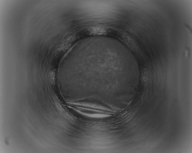 X0000103240551200809111559