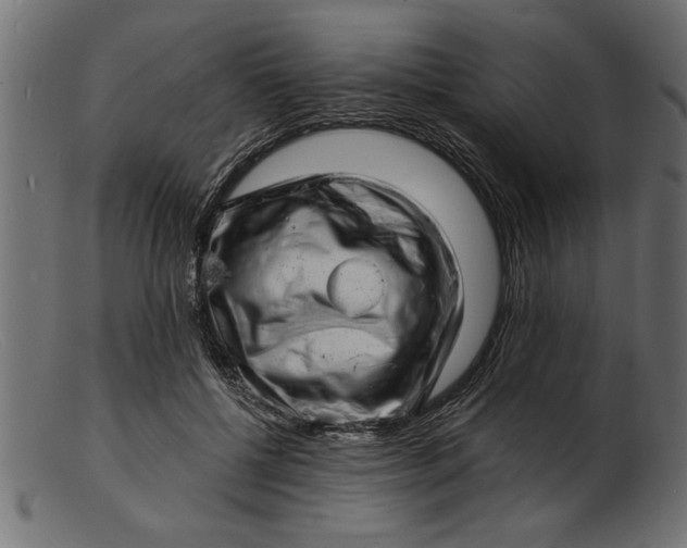 X0000103240552200809111559