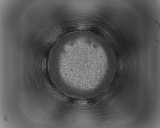 X0000103240554200809111559