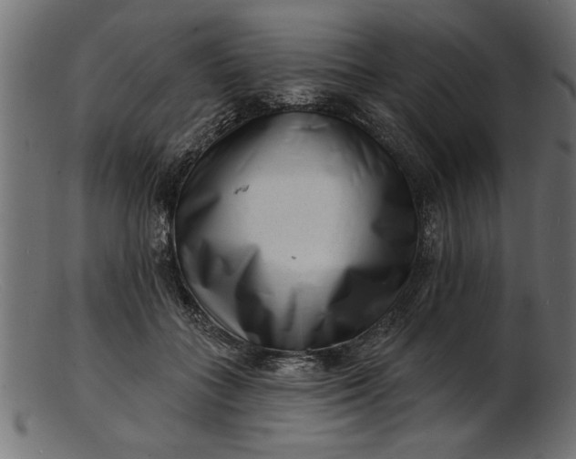 X0000103240555200809111559