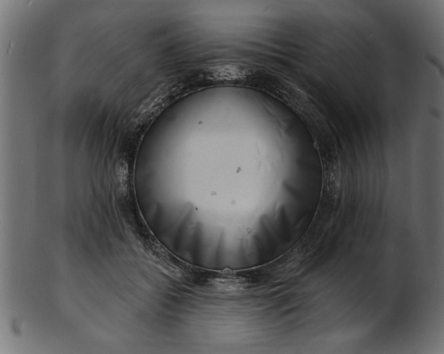 X0000103240556200809111559