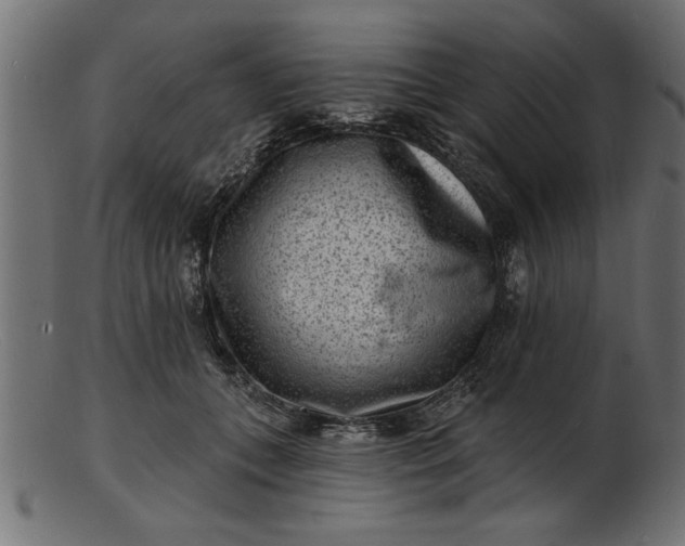 X0000103240559200809111559