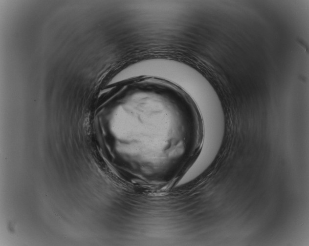 X0000103240560200809111559