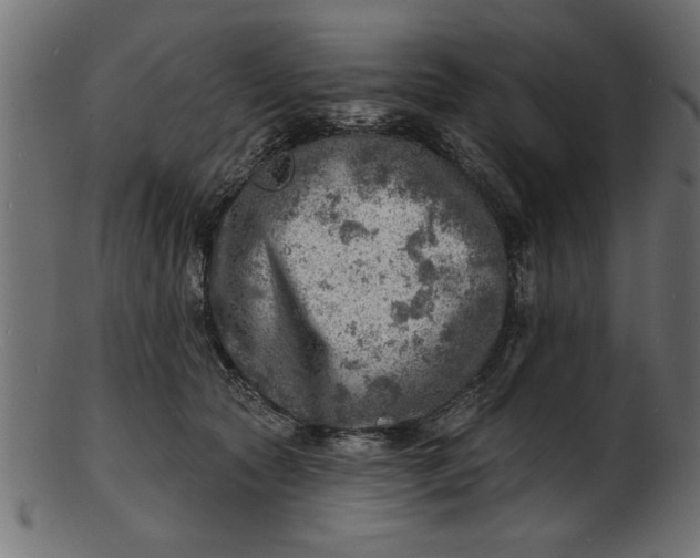 X0000103240561200809111559