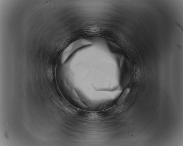 X0000103240562200809111559