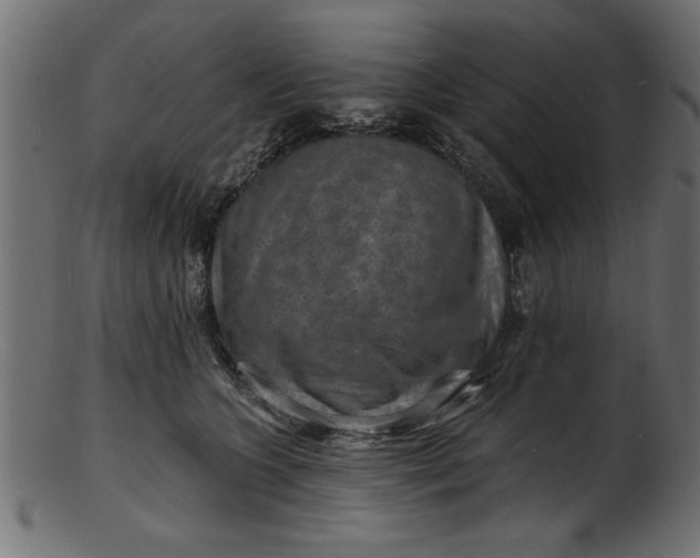 X0000103240563200809111559