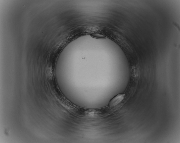 X0000103240564200809111559