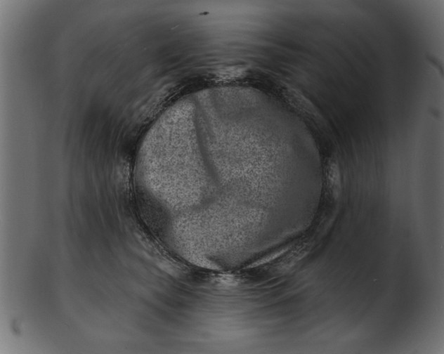 X0000103240565200809111559