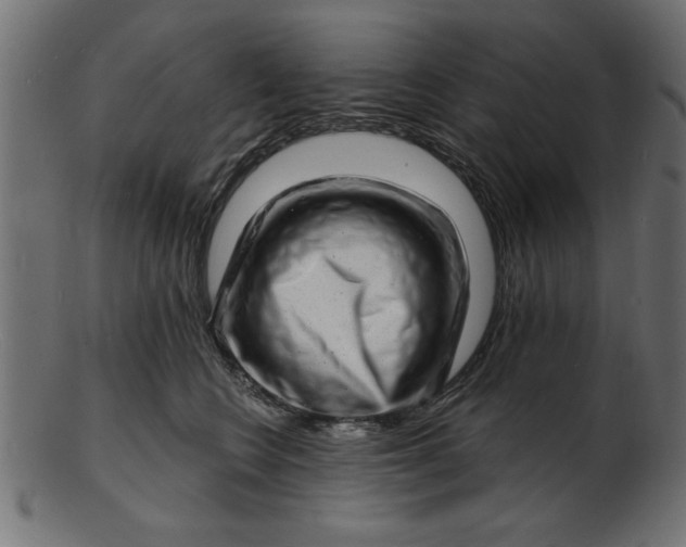 X0000103240566200809111559