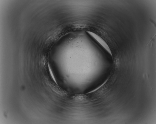 X0000103240567200809111559