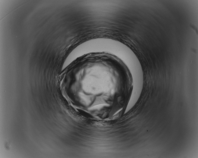 X0000103240568200809111559