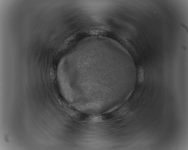 X0000103240569200809111559