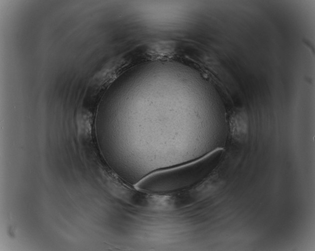 X0000103240570200809111559