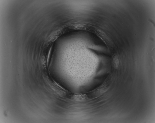 X0000103240571200809111559