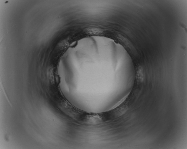 X0000103240572200809111559