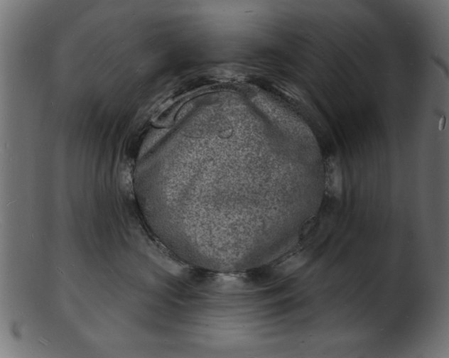 X0000103240573200809111559