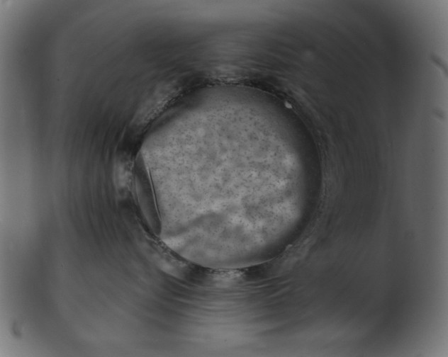 X0000103240576200809111559