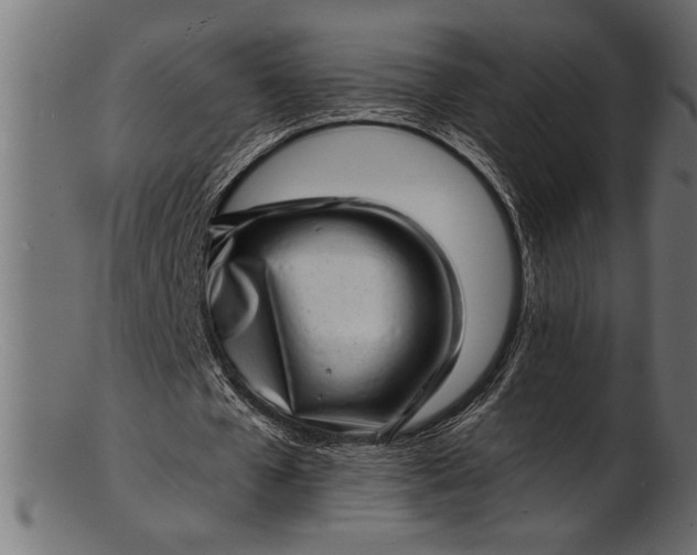 X0000103240577200809111558