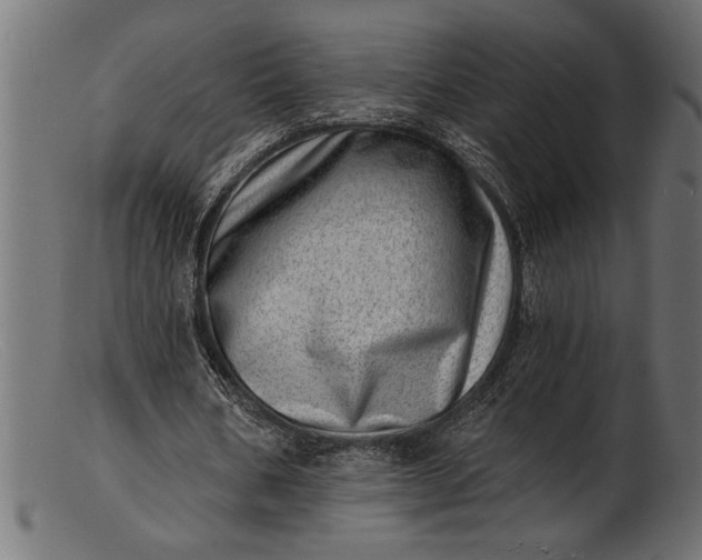 X0000103240578200809111558