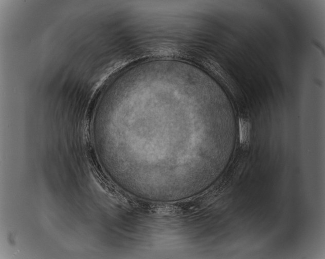 X0000103240579200809111558