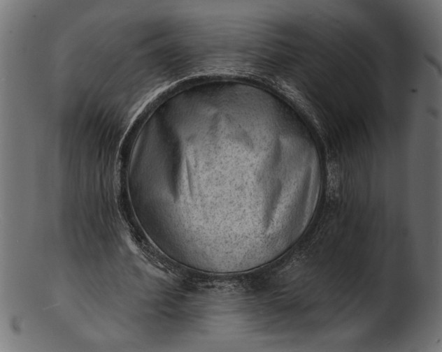 X0000103240580200809111558