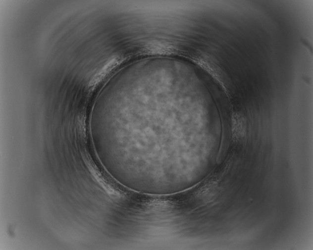 X0000103240581200809111558