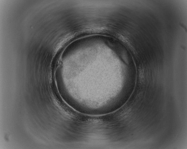 X0000103240582200809111558