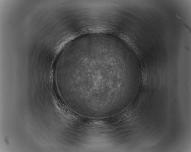 X0000103240583200809111558