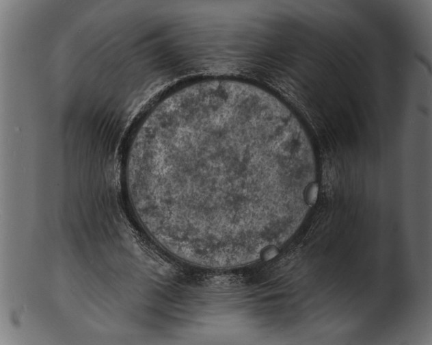 X0000103240584200809111558