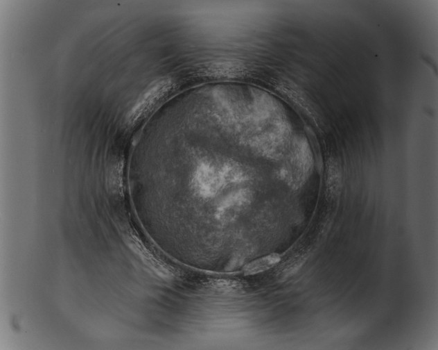 X0000103240585200809111558