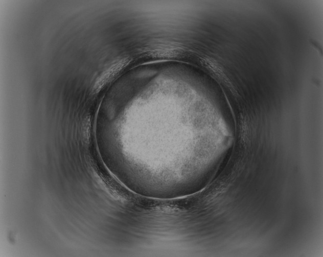 X0000103240586200809111558