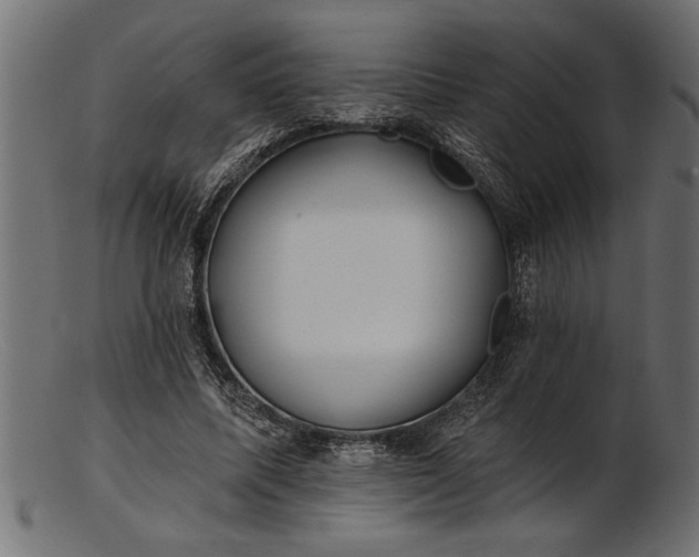 X0000103240587200809111558