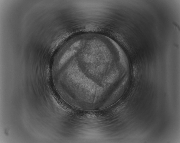 X0000103240588200809111558