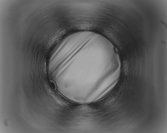 X0000103240589200809111558