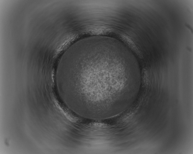 X0000103240590200809111558